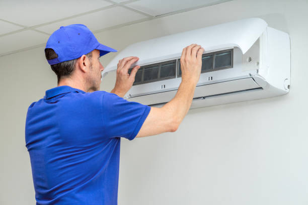 Air Duct Mold Removal in Dawson, TX