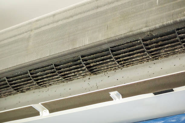 Best HVAC Air Duct Cleaning  in Dawson, TX